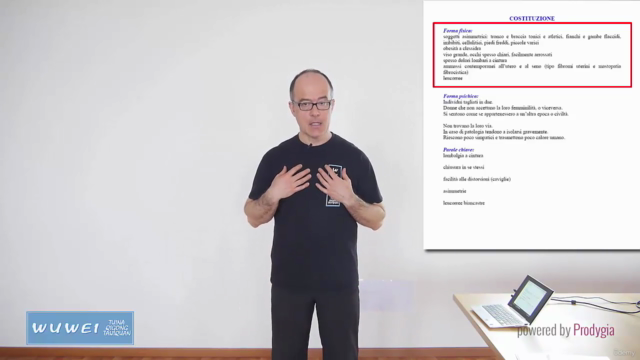 Chōng Mài 衝脈 e Dài Mài 帶脈 - Trattamento Tuīná 推拿 e Moxa – Screenshot 3