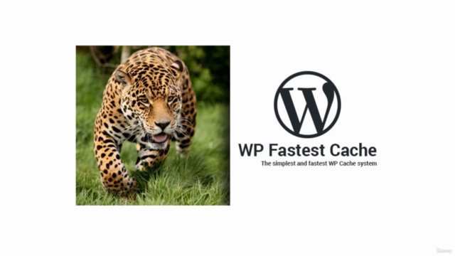WP Fastest Cache to Optimize your Wordpress Website Speed - Screenshot_03