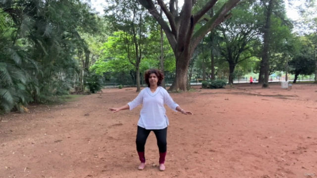 Animal Frolics: Crane Form Qigong – Screenshot 1