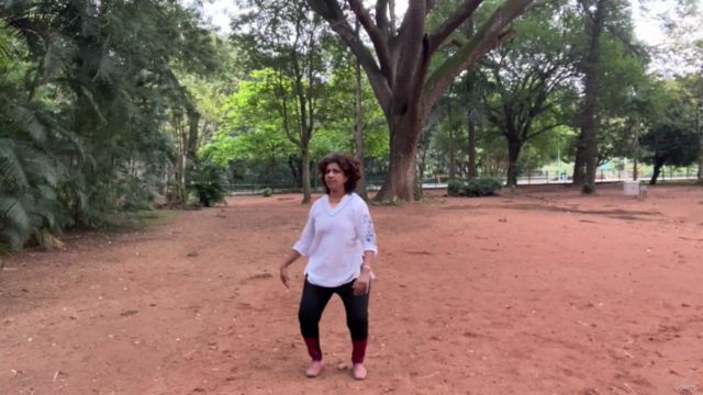 Animal Frolics: Crane Form Qigong – Screenshot 2
