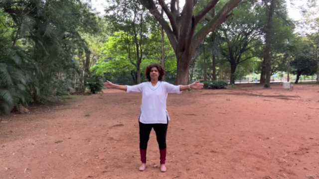 Animal Frolics: Crane Form Qigong – Screenshot 4