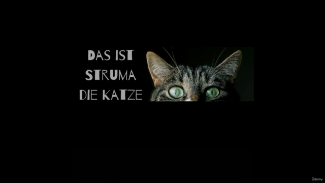 Design wie ein Profi mit Canva - Design ohne Grenzen – Screenshot 2