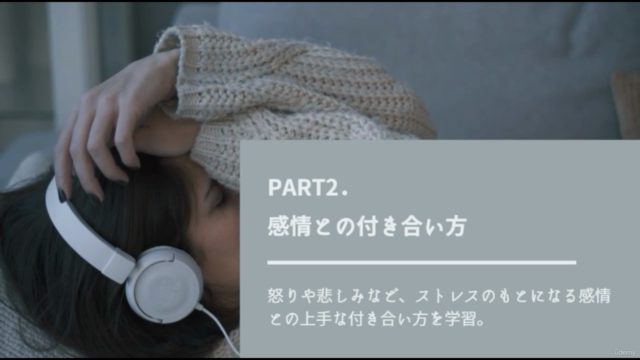 【Microsoft社も実践!】ビジネスシーンにおける怒りやイライラを手放せる!今日から出来る感情コントロール法 – Screenshot 3