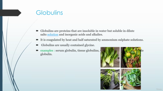 PROTEINS DETAILED – Screenshot 4