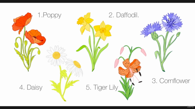 Procreate - Illustrate Wildflowers – Screenshot 2