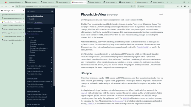 Mastering Live(View) development in Go (GoLang) – Screenshot 1