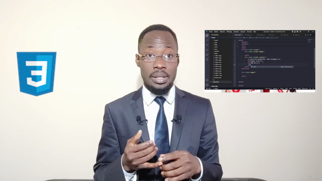 Apprendre les bases indispensables du langage CSS 3 – Screenshot 1