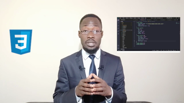 Apprendre les bases indispensables du langage CSS 3 – Screenshot 2