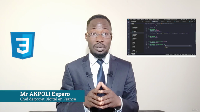 Apprendre les bases indispensables du langage CSS 3 – Screenshot 3