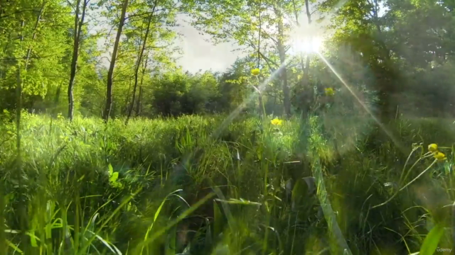 Soul Purpose Workshops (SPWs) – Screenshot 2