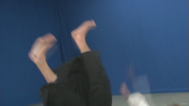 Aikido von A bis Z Grundtechniken Vol.1 – Screenshot 2