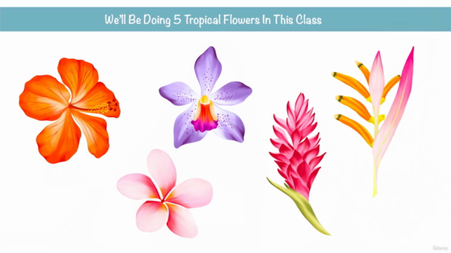 Procreate - Illustrate Tropical Flowers – Screenshot 1