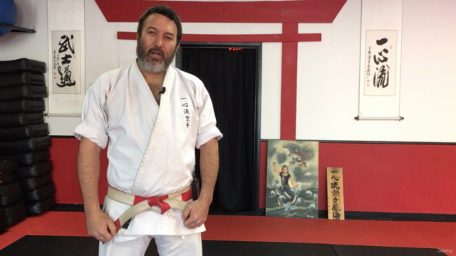 Dissect the Dissection of Isshinryu Karate: Chinto Bunkai – Screenshot 1