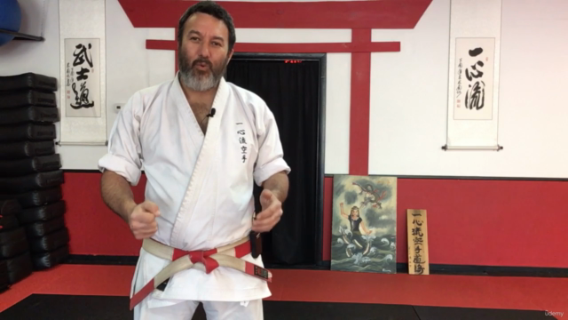 Dissect the Dissection of Isshinryu Karate: Chinto Bunkai – Screenshot 3