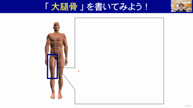 【女性向け】健康・美容に欠かせない骨の基礎講座(簡易チェック/解説付き) – Screenshot 4