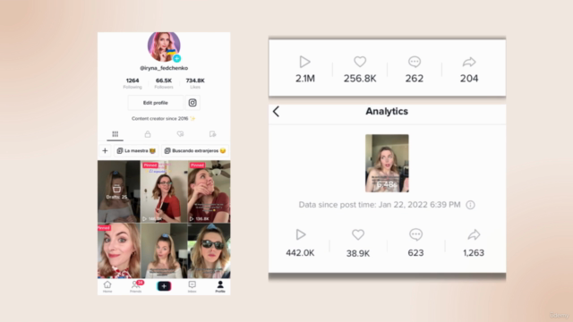 TikTok Marketing: Crecimiento Exponencial y Monetización – Screenshot 2