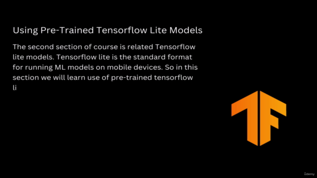 Machine Learning use in Flutter - The 2025 Flutter ML Guide – Screenshot 3