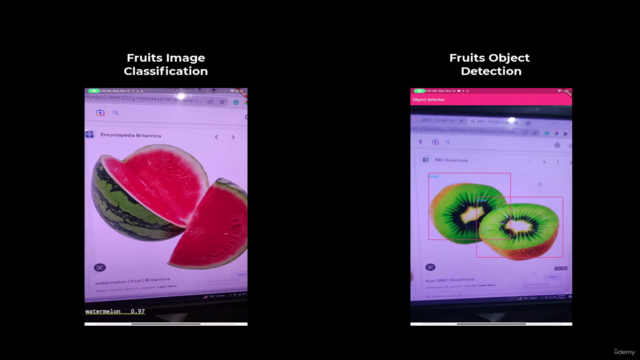 Machine Learning use in Flutter - The 2025 Flutter ML Guide – Screenshot 4