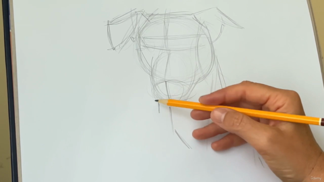 The Ultimate Guide to drawing Dogs – Screenshot 1