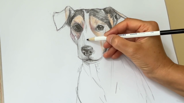 The Ultimate Guide to drawing Dogs – Screenshot 2