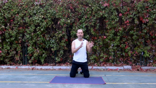 Fonksiyonel Fitness: Kuvvet & Güç Artışı, Kas Gelişimi – Screenshot 3