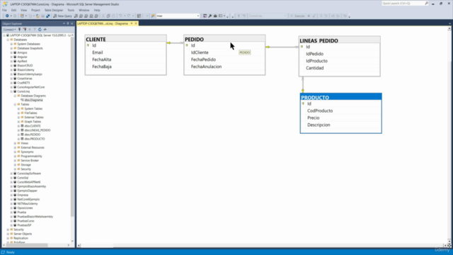 Aprende LINQ desde cero con C#, Entity Framework y Blazor – Screenshot 2