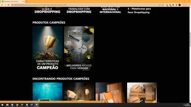 Marketplace Sem Estoque Dropshipping Mercado Livre e Shopee – Screenshot 2