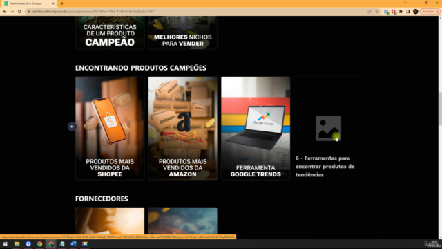 Marketplace Sem Estoque Dropshipping Mercado Livre e Shopee – Screenshot 3