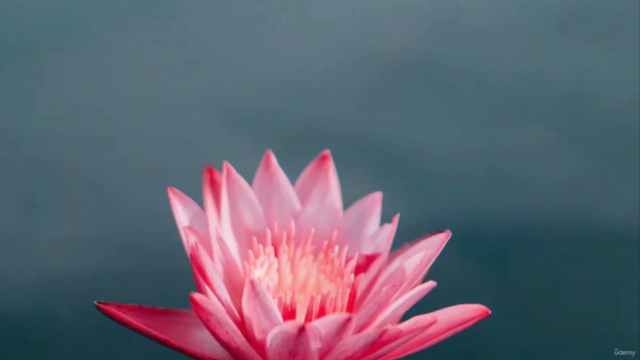 Meditation Teacher Training Certification – Screenshot 3