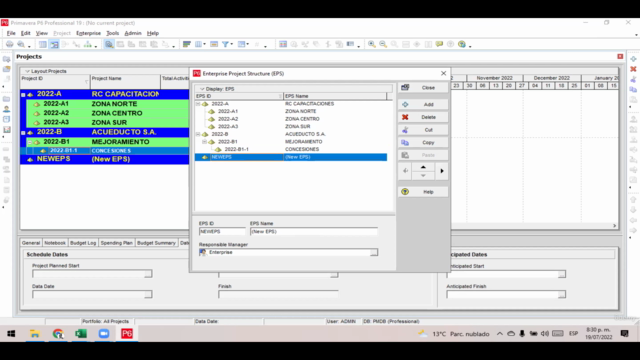 Proyectos con  Oracle Primavera P6 de cero a Experto - Screenshot_02