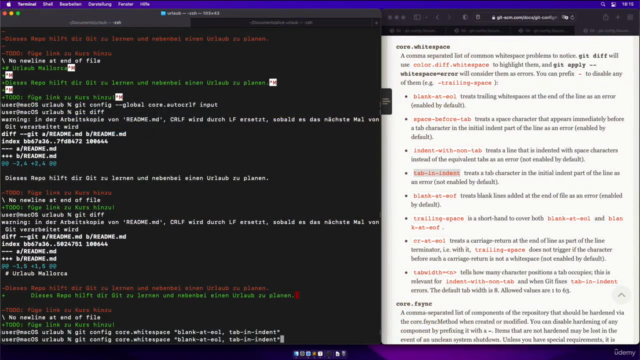 Modernes Git - Grundlagen & Vertiefung – Screenshot 1