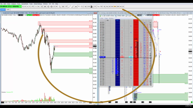 Market Profile Live, Learn To Trade Excess – Screenshot 3