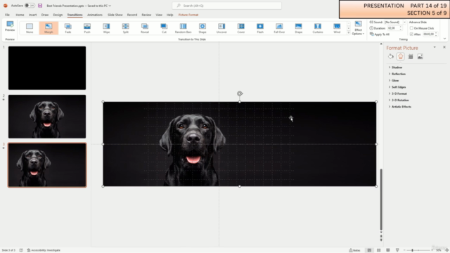 The short PowerPoint bootcamp for hopeless beginners – Screenshot 2