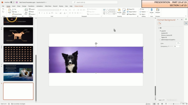The short PowerPoint bootcamp for hopeless beginners – Screenshot 4