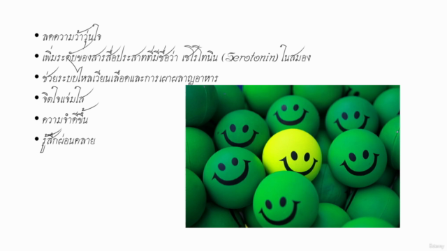เริ่มต้นการฝึกสมาธิ จิต ขั้น 1-2 – Screenshot 4