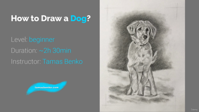 How to Draw a Dog Step by Step - Animal Drawing Course – Screenshot 1