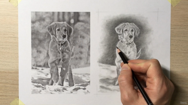 How to Draw a Dog Step by Step - Animal Drawing Course – Screenshot 2