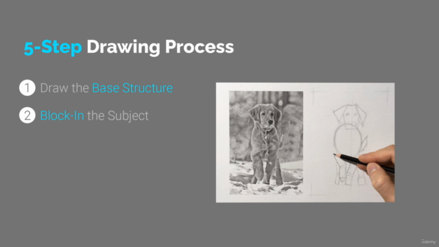 How to Draw a Dog Step by Step - Animal Drawing Course – Screenshot 3