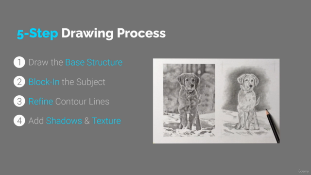 How to Draw a Dog Step by Step - Animal Drawing Course – Screenshot 4