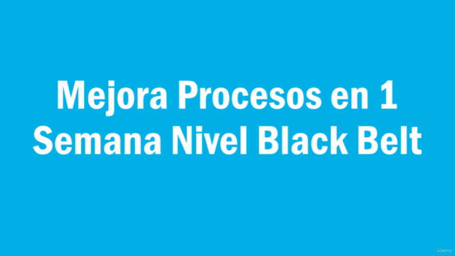 Curso Completo Mejora Procesos Nivel Black Belt – Screenshot 4