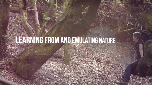 Biomimicry As A Way Of Being - Screenshot_01