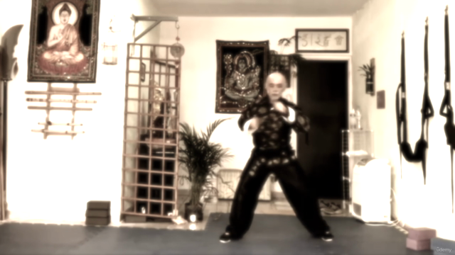 Kung Fu estilo da Águia Níve lII - Ti Kuen – Screenshot 4