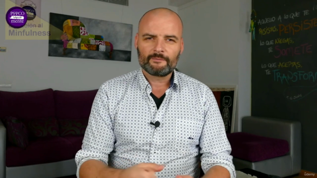 Iniciación al Mindfulness + Primeras Prácticas en Meditación – Screenshot 2