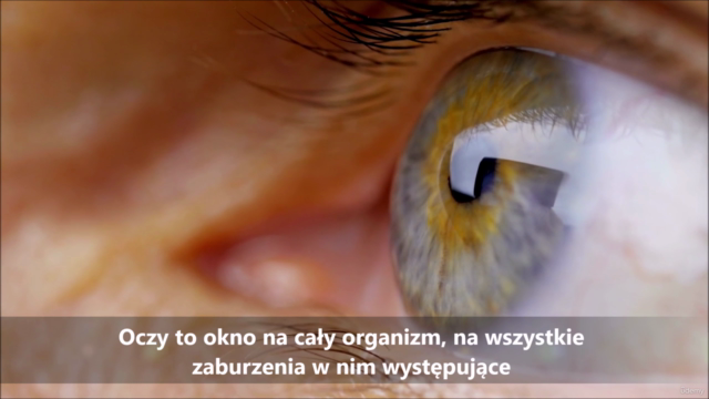 Podstawy Irydologii – Screenshot 2