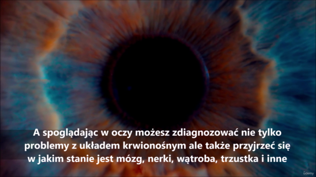 Podstawy Irydologii – Screenshot 3