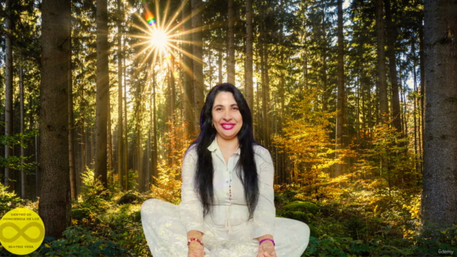 Reiki karuna nivel 3 con maestria, con diploma internacional – Screenshot 2