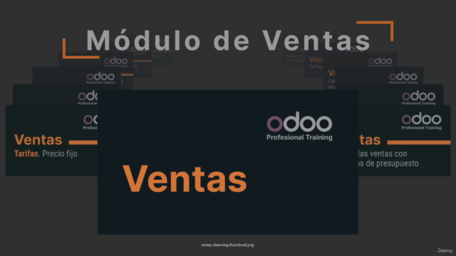 Módulo de ventas Odoo Enterprise 15 - Screenshot_04