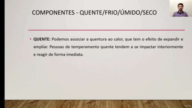 Analista Fiscal para Iniciantes – Screenshot 3