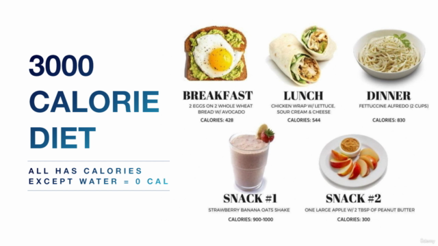 Calorie Management - Simply Explained Master Class (TM) – Screenshot 3