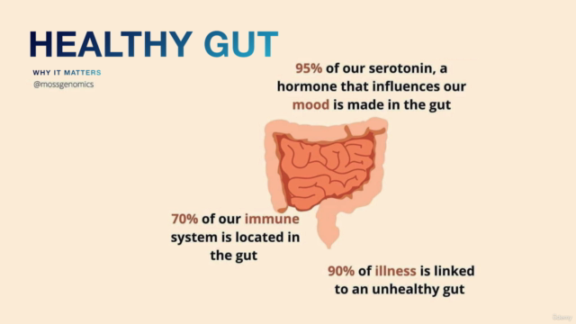 Intestinal Gut Health - Digestion System Master Class (TM) – Screenshot 4